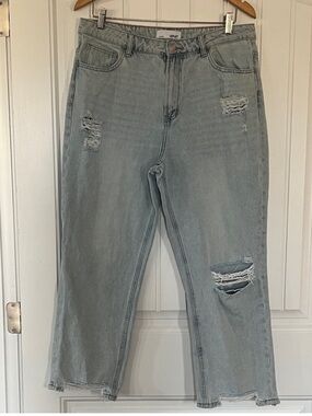 Vervet los Angeles Jeans Size 31
